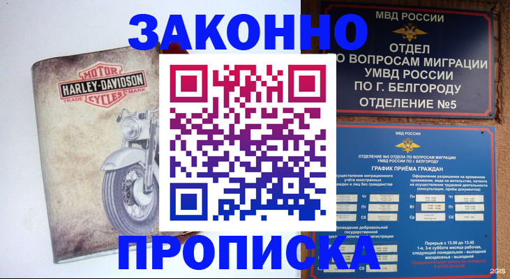 прописка для школы в Светлограде